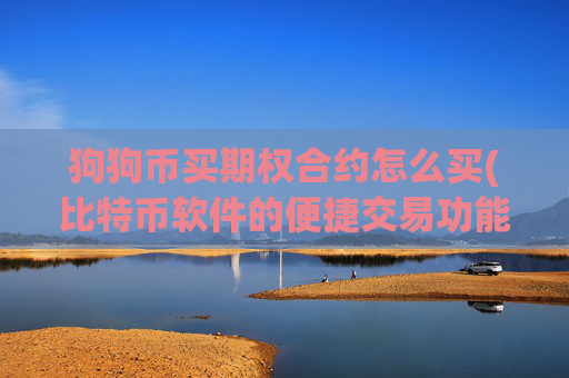 狗狗币买期权合约怎么买(比特币软件的便捷交易功能)