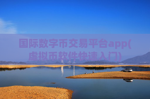 国际数字币交易平台app(虚拟币软件快速入门)