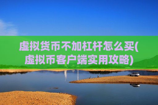虚拟货币不加杠杆怎么买(虚拟币客户端实用攻略)