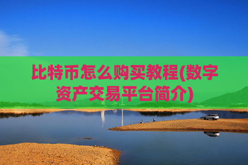 比特币怎么购买教程(数字资产交易平台简介)