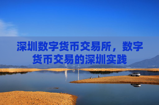 深圳数字货币交易所,数字货币交易的深圳实践
