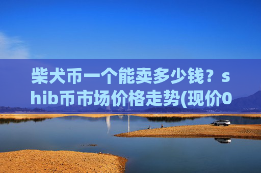 柴犬币一个能卖多少钱?shib币市场价格走势(现价0.00022819元)