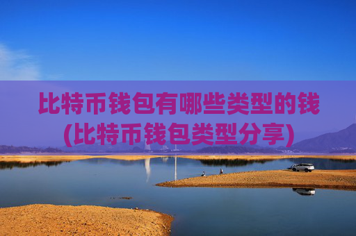 比特币钱包有哪些类型的钱(比特币钱包类型分享)