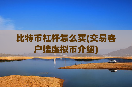 比特币杠杆怎么买(交易客户端虚拟币介绍)