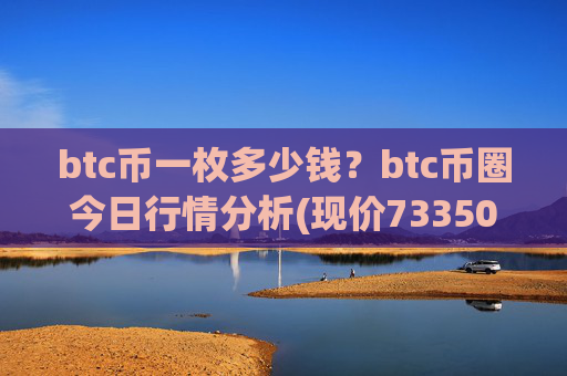 btc币一枚多少钱?btc币圈今日行情分析(现价733502.03元)