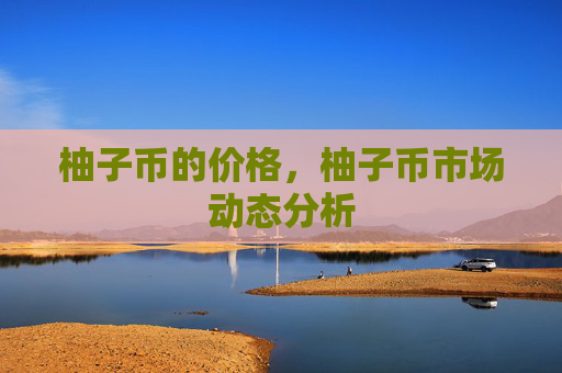 柚子币的价格,柚子币市场动态分析