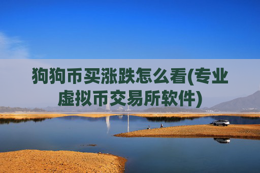 狗狗币买涨跌怎么看(专业虚拟币交易所软件)