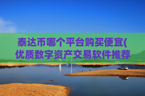 泰达币哪个平台购买便宜(优质数字资产交易软件推荐)