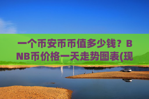 一个币安币币值多少钱?BNB币价格一天走势图表(现价5313.2元)