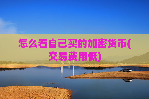 怎么看自己买的加密货币(交易费用低)