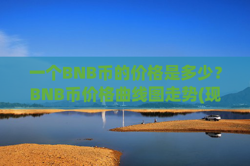 一个BNB币的价格是多少?BNB币价格曲线图走势(现价5314.93元)