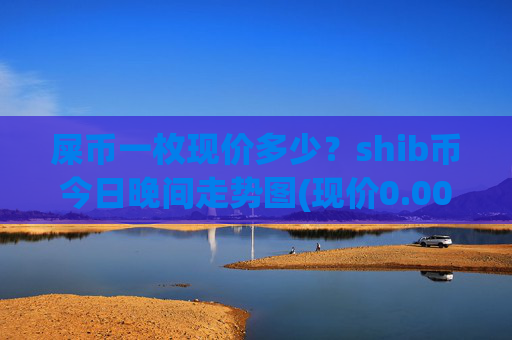 屎币一枚现价多少?shib币今日晚间走势图(现价0.00022669元)