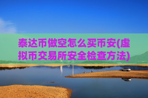 泰达币做空怎么买币安(虚拟币交易所安全检查方法)