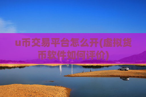 u币交易平台怎么开(虚拟货币软件如何评价)
