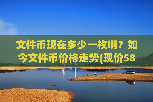 文件币现在多少一枚啊?如今文件币价格走势(现价58.2036元)