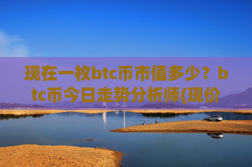 现在一枚btc币市值多少？btc币今日走势分析师(现价733035.2元)