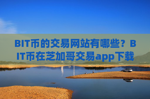 BIT币的交易网站有哪些?BIT币在芝加哥交易app下载