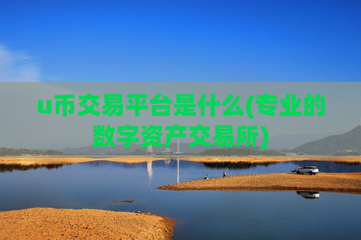 u币交易平台是什么(专业的数字资产交易所)
