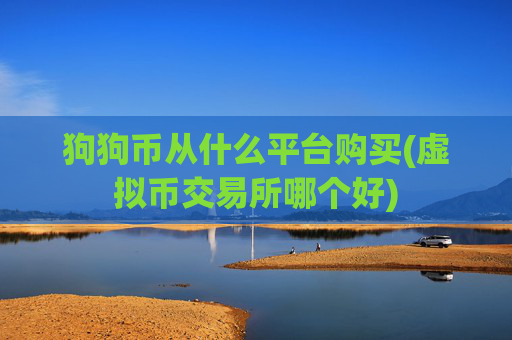 狗狗币从什么平台购买(虚拟币交易所哪个好)