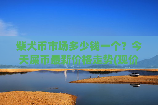 柴犬币市场多少钱一个?今天屎币最新价格走势(现价0.00022741元)