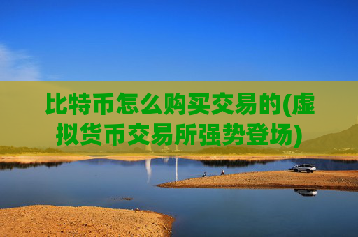 比特币怎么购买交易的(虚拟货币交易所强势登场)