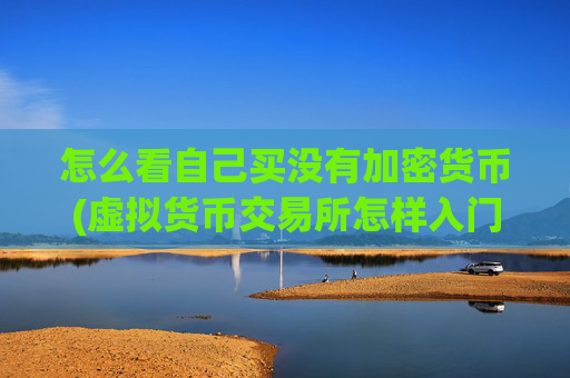 怎么看自己买没有加密货币(虚拟货币交易所怎样入门)