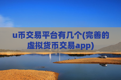 u币交易平台有几个(完善的虚拟货币交易app)