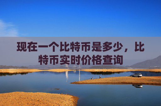 现在一个比特币是多少,比特币实时价格查询