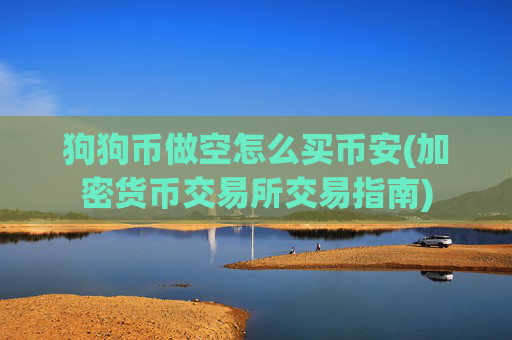 狗狗币做空怎么买币安(加密货币交易所交易指南)