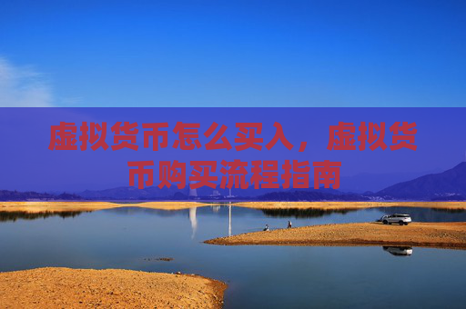 虚拟货币怎么买入，虚拟货币购买流程指南