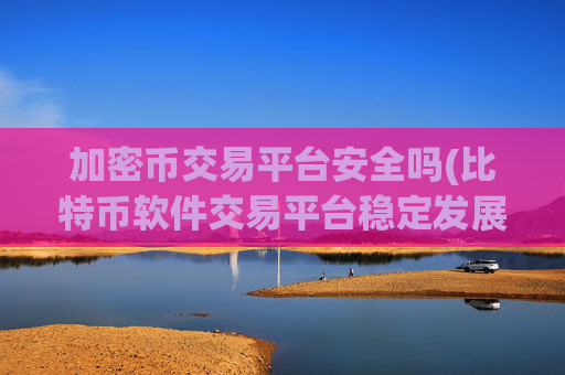 加密币交易平台安全吗(比特币软件交易平台稳定发展)