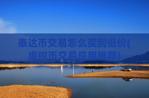 泰达币交易怎么买到低价(虚拟币交易应用推荐)