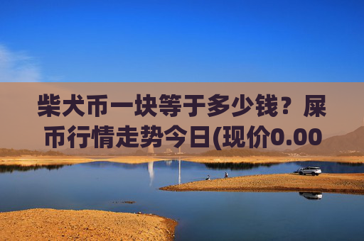 柴犬币一块等于多少钱？屎币行情走势今日(现价0.00022898元)