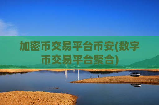 加密币交易平台币安(数字币交易平台聚合)