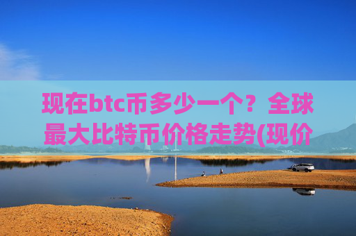 现在btc币多少一个?全球最大比特币价格走势(现价737108.3元)