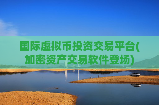 国际虚拟币投资交易平台(加密资产交易软件登场)
