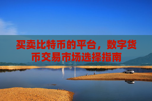 买卖比特币的平台,数字货币交易市场选择指南