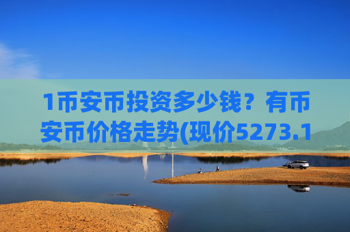 1币安币投资多少钱?有币安币价格走势(现价5273.17元)