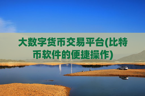 大数字货币交易平台(比特币软件的便捷操作)