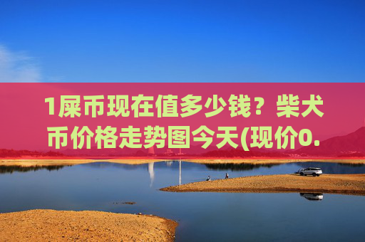 1屎币现在值多少钱?柴犬币价格走势图今天(现价0.00022825元)