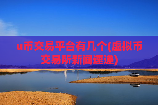 u币交易平台有几个(虚拟币交易所新闻速递)