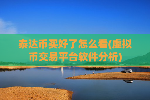 泰达币买好了怎么看(虚拟币交易平台软件分析)