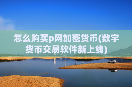 怎么购买p网加密货币(数字货币交易软件新上线)