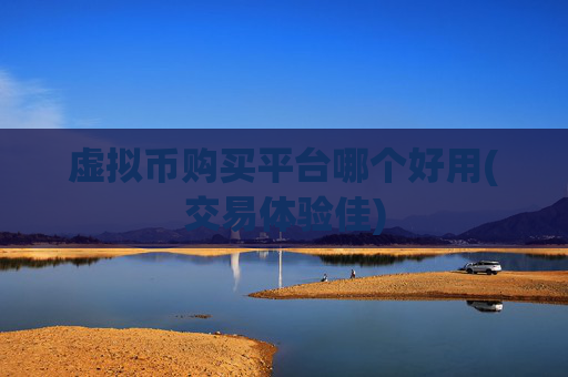 虚拟币购买平台哪个好用(交易体验佳)