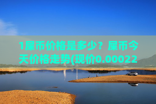 1屎币价格是多少?屎币今天价格走势(现价0.00022884元)