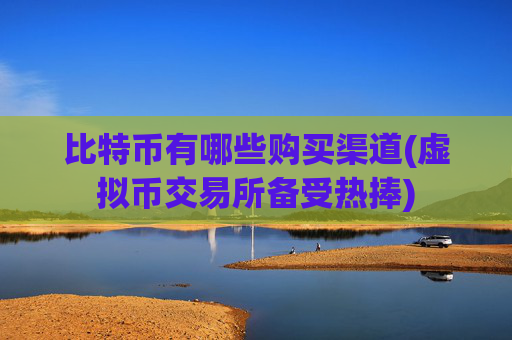 比特币有哪些购买渠道(虚拟币交易所备受热捧)