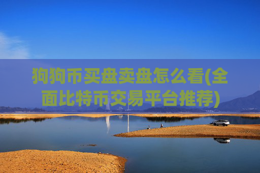 狗狗币买盘卖盘怎么看(全面比特币交易平台推荐)