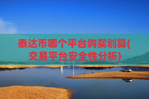 泰达币哪个平台购买划算(交易平台安全性分析)