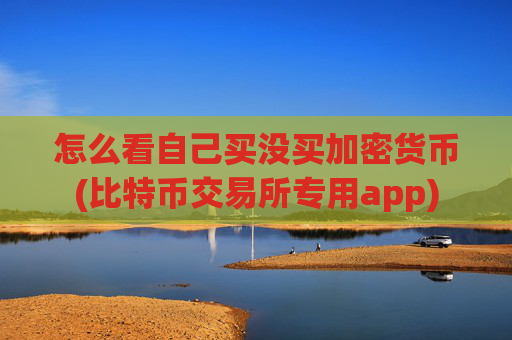 怎么看自己买没买加密货币(比特币交易所专用app)