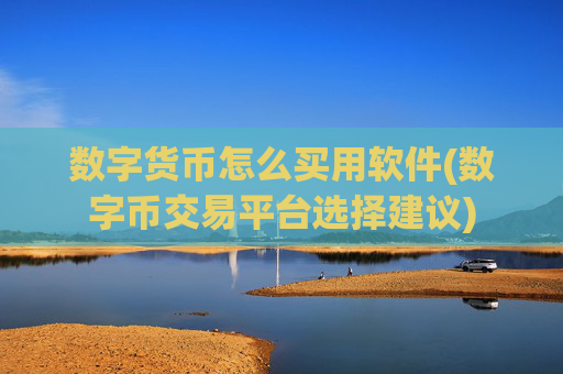 数字货币怎么买用软件(数字币交易平台选择建议)